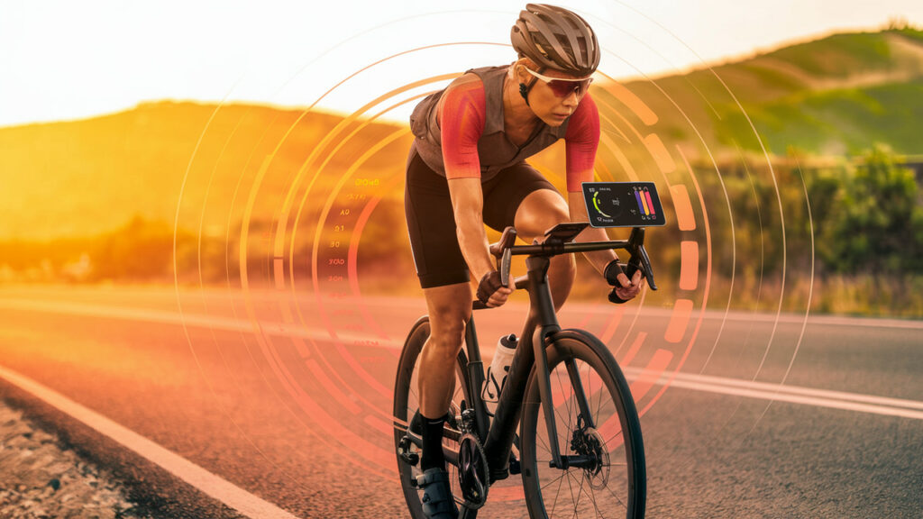 Understanding Metabolic Rates During Cycling